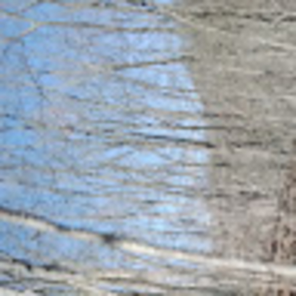 Meet your Posher, Krista prows